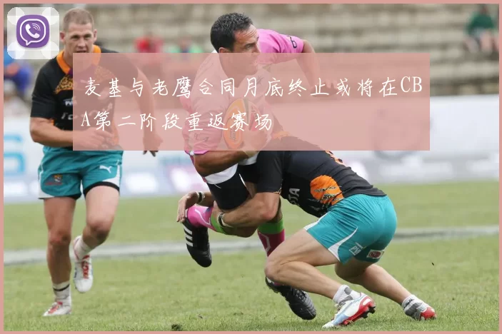 麦基与老鹰合同月底终止或将在CBA第二阶段重返赛场