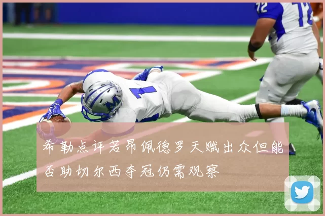 希勒点评若昂佩德罗天赋出众但能否助切尔西夺冠仍需观察